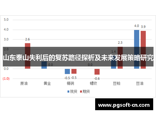 山东泰山失利后的复苏路径探析及未来发展策略研究