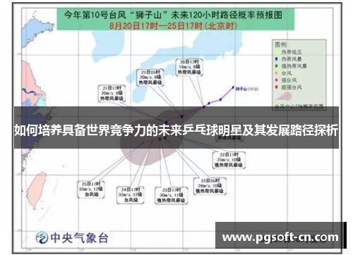 如何培养具备世界竞争力的未来乒乓球明星及其发展路径探析