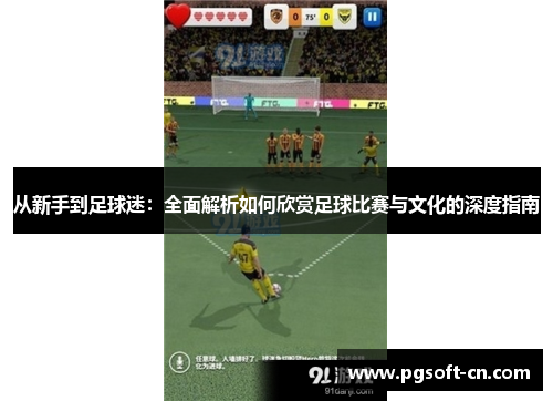 从新手到足球迷：全面解析如何欣赏足球比赛与文化的深度指南