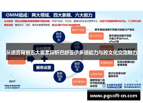 从语言背景五大要素探析巴舒亚伊多语能力与跨文化交流魅力 从语言背景五大要素探析巴舒亚伊多语能力与跨文化交流魅力