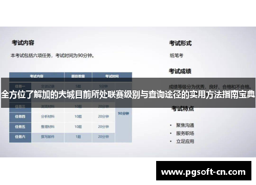 全方位了解加的夫城目前所处联赛级别与查询途径的实用方法指南宝典 全方位了解加的夫城目前所处联赛级别与查询途径的实用方法指南宝典